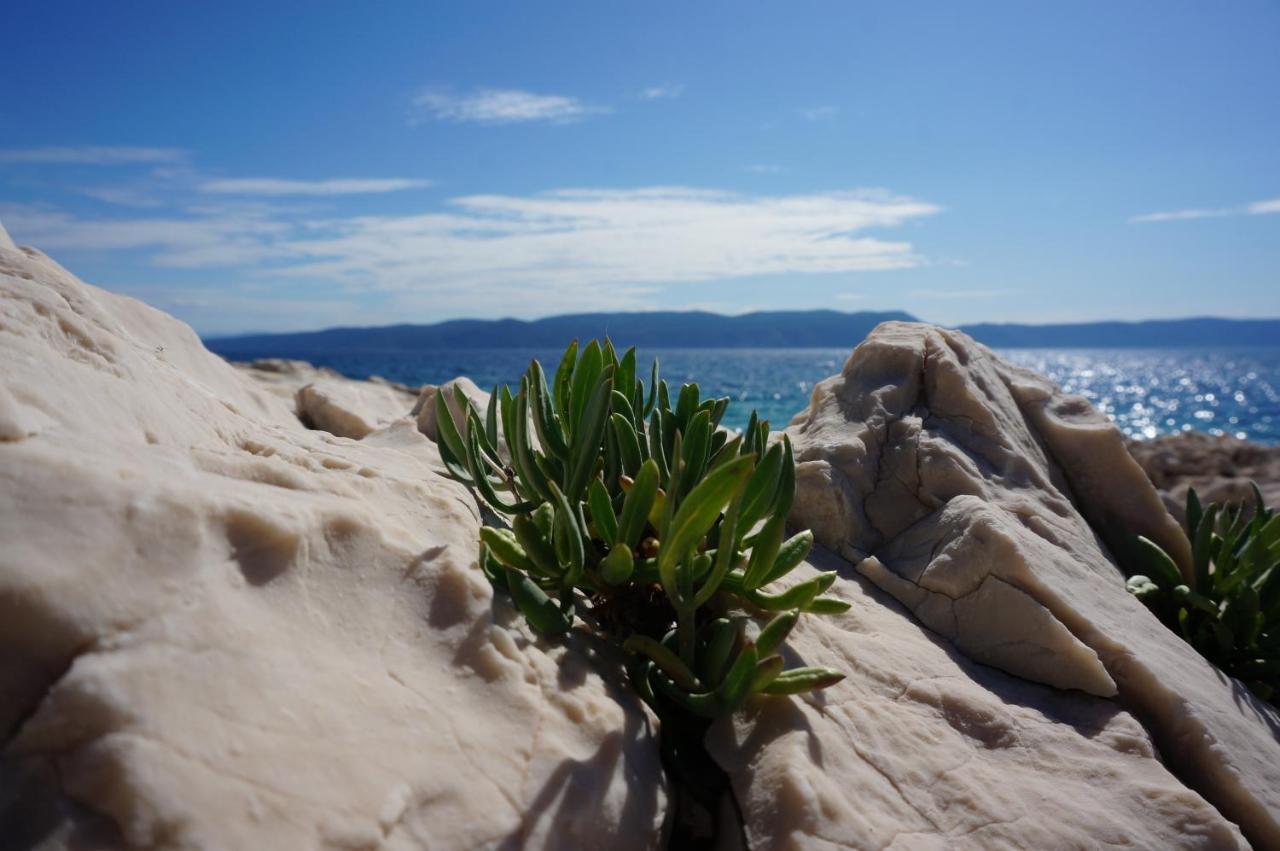 Apartment Rosanna - Intermezzo In Center Of Rabac Εξωτερικό φωτογραφία